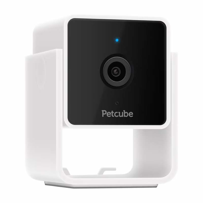 Petcube Pet Camera 1080p Hd Video Night Vision - IP Camera's - Wit