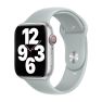 Apple Sport Band Apple Watch 38mm / 40mm / 41mm Succulent sticky